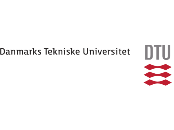 Intensive Danish In Groups Or One to one For DTU Employees AIS Sprog